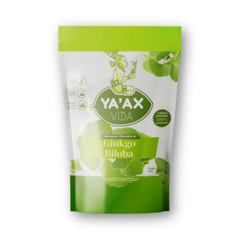 Ginkgo Biloba 500g Puro En Polvo 100%