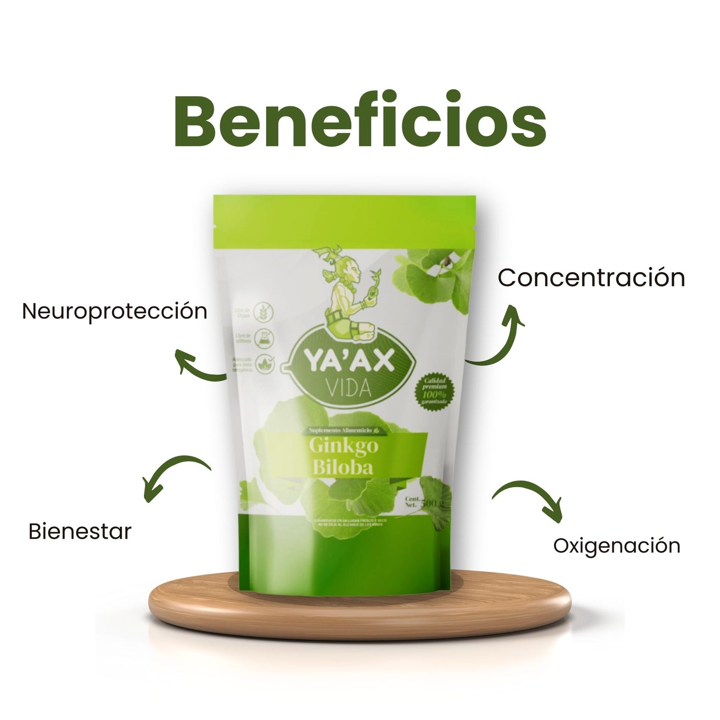 Ginkgo Biloba 500g Puro En Polvo 100%