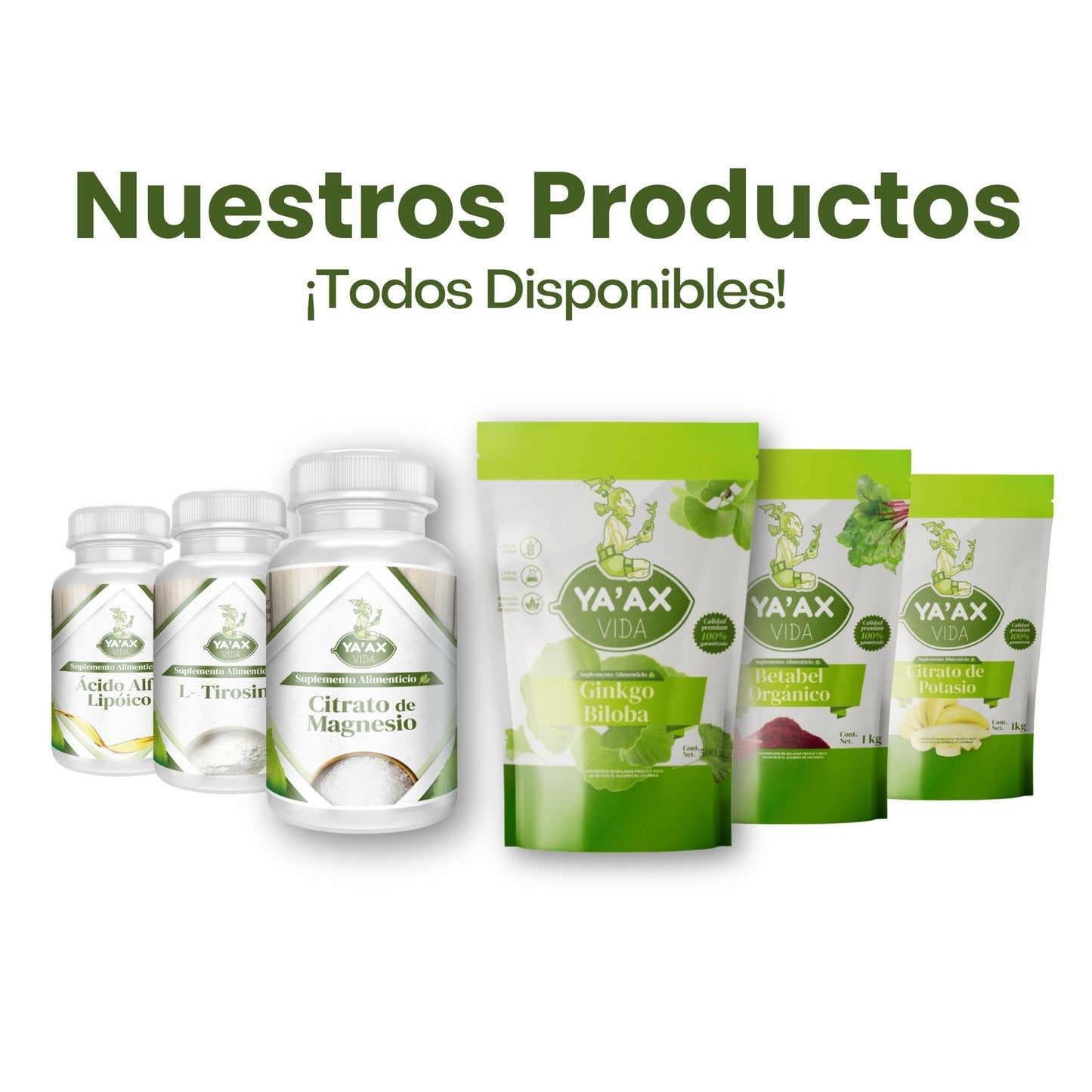 Ginkgo Biloba 500g Puro En Polvo 100%