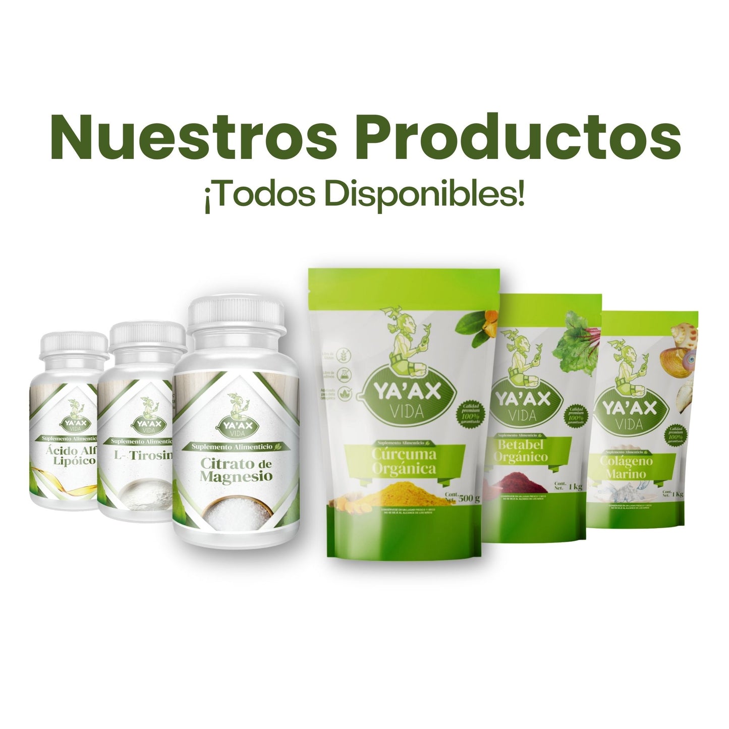 Cúrcuma Orgánica En Polvo 100% Natural 500g
