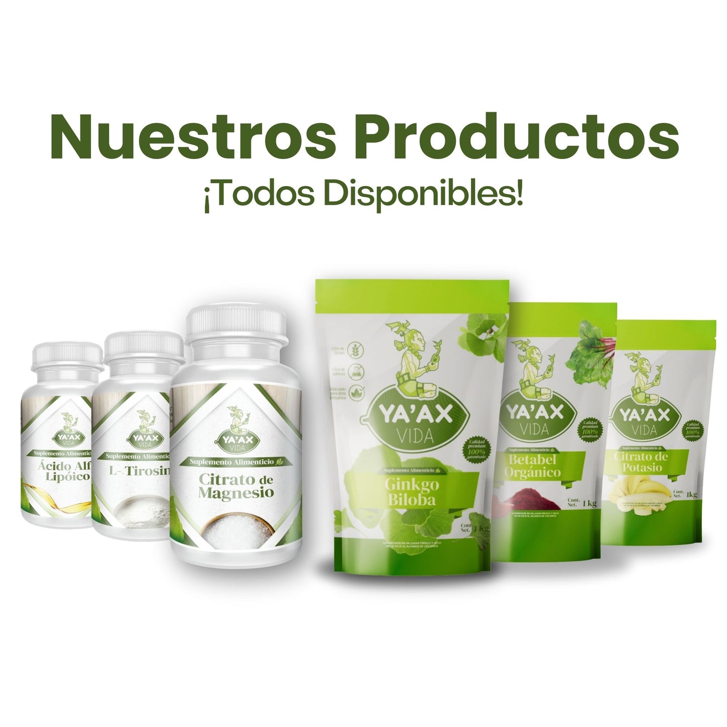 Ginkgo Biloba 1 Kilo Puro En Polvo 100%