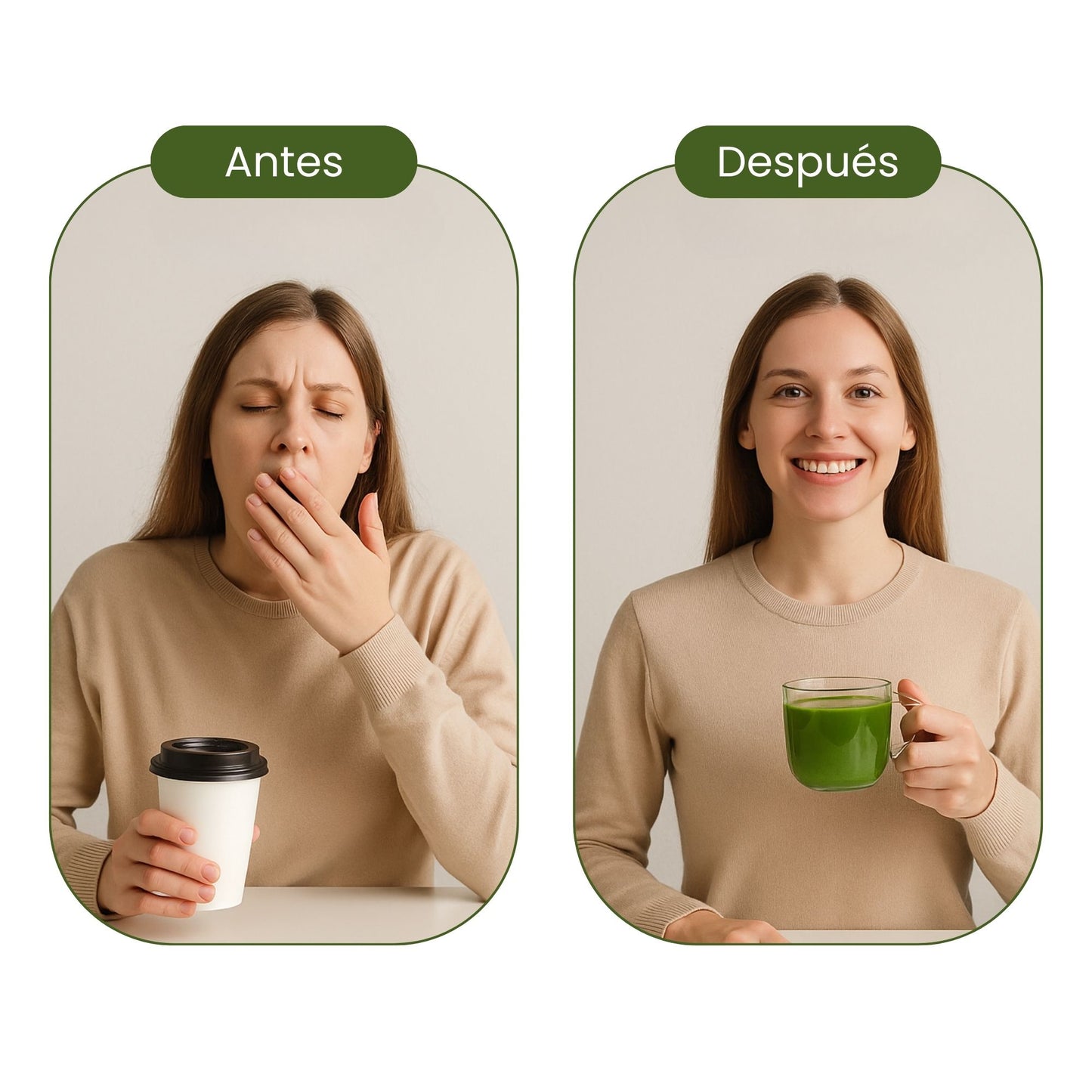 Té Matcha Orgánico 1 Kilo Polvo 100% Puro