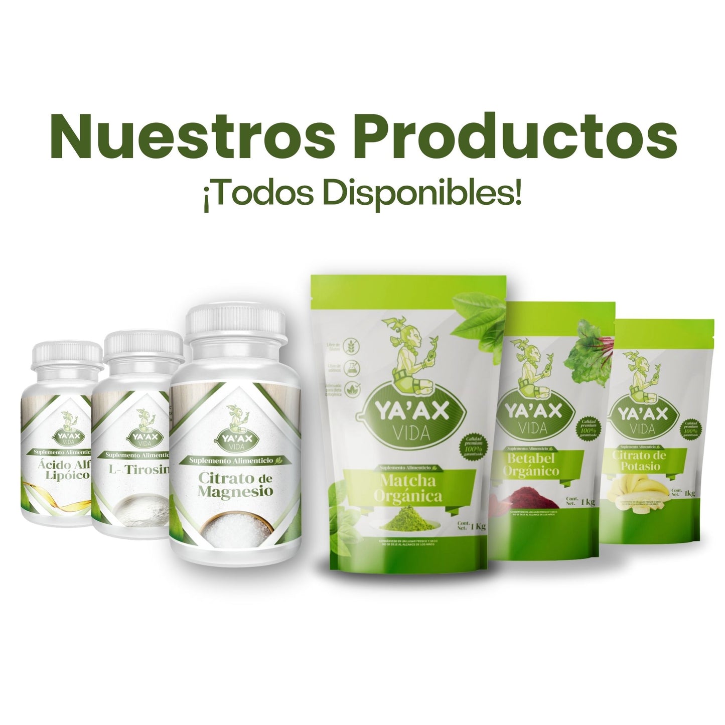 Té Matcha Orgánico 1 Kilo Polvo 100% Puro