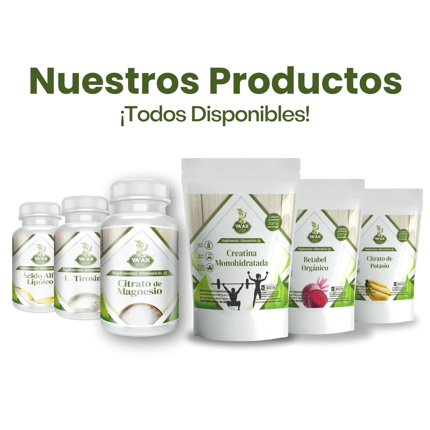 Creatina Monohidratada 500 grs Polvo 100% Pura