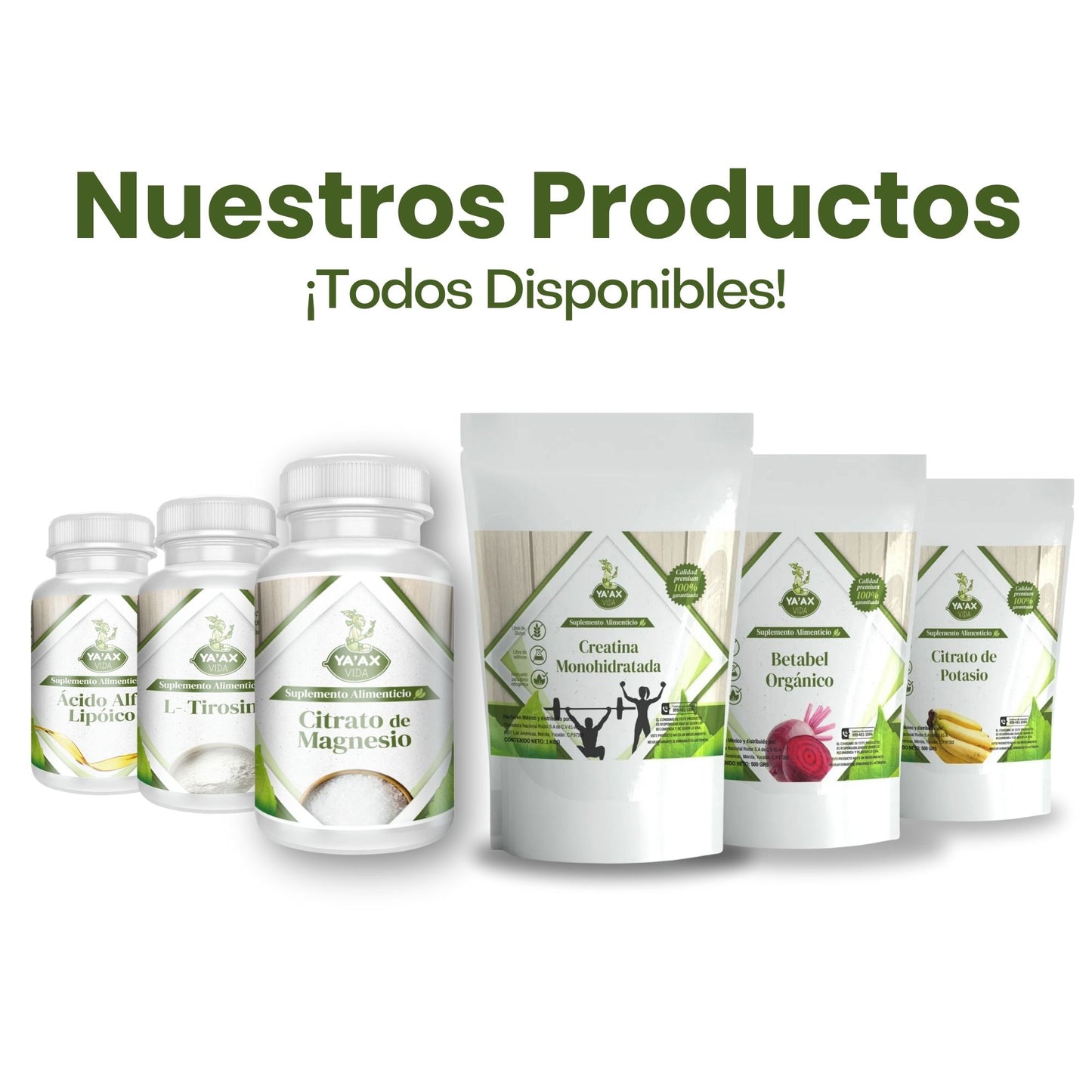 Creatina Monohidratada 1 Kg Polvo 100% Pura