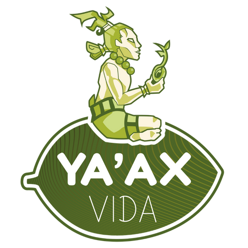 Yaax Vida