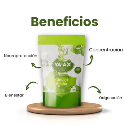 Ginkgo Biloba 500g Puro En Polvo 100%