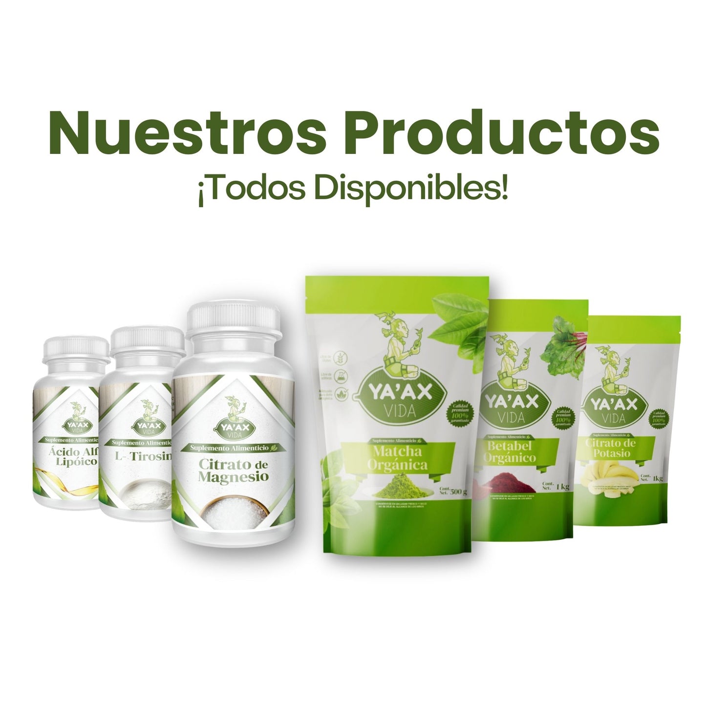 Té Matcha Orgánico 500 Grs Polvo 100% Puro