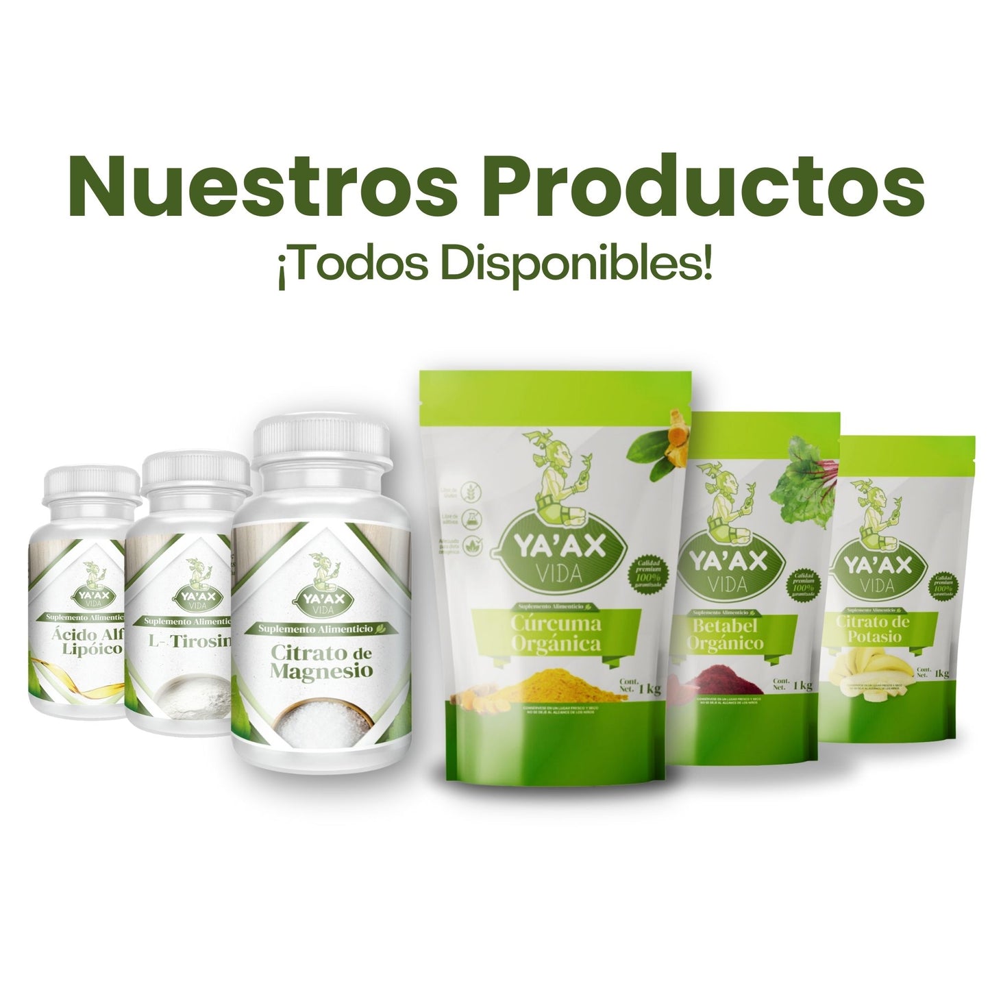 Cúrcuma Orgánica En Polvo 100% Natural 1 Kilo