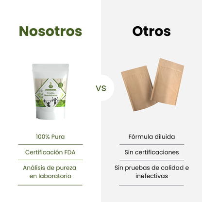 Creatina Monohidratada 1 Kg Polvo 100% Pura